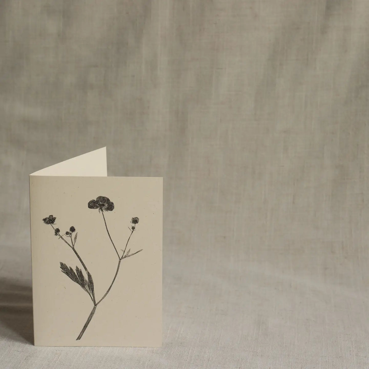 Alicia Breakspear botanical greetings card meadow buttercup