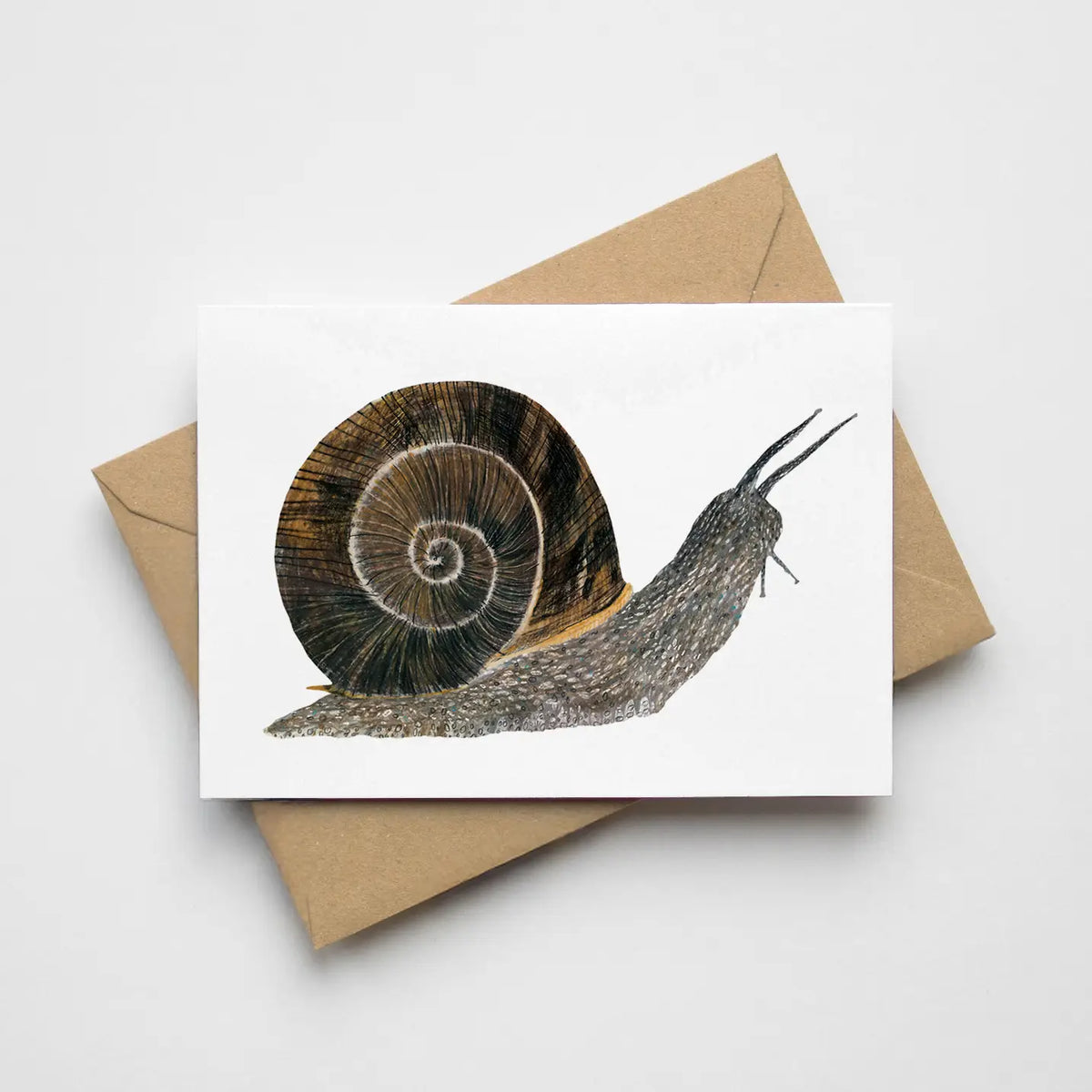 James Barker greetings card snail mini card