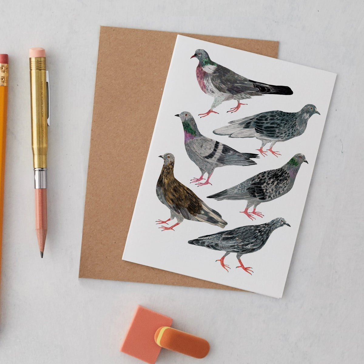 James Barker greetings card pigeon