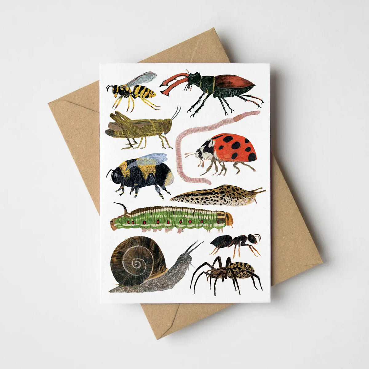 Garden creatures card by James Barker