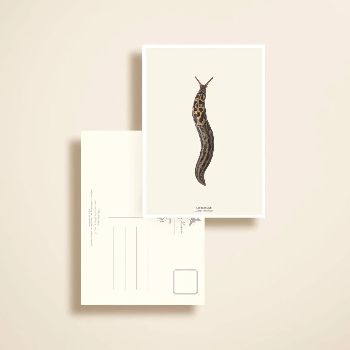 Unloved animals postcard set by Ben Rothery