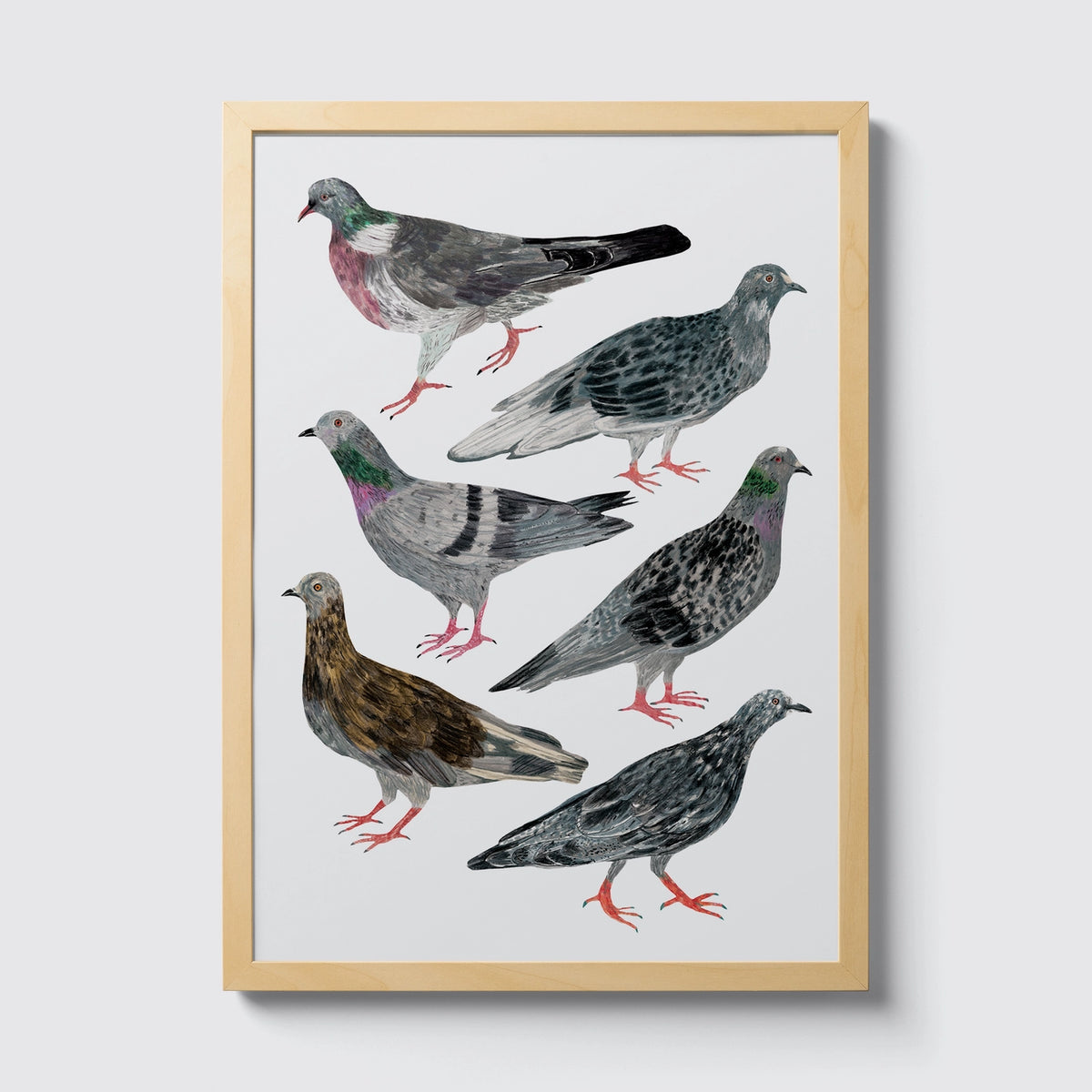 Pigeon A4 print by James Barker