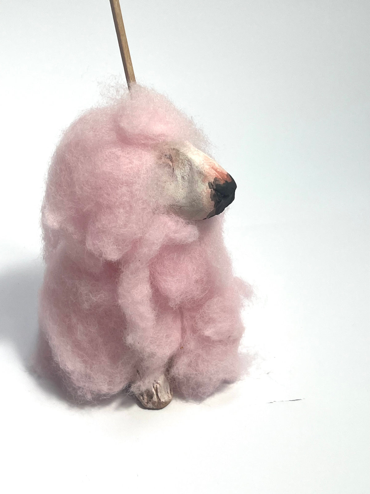Buffoonery collection by Olivia Brown - the candyfloss