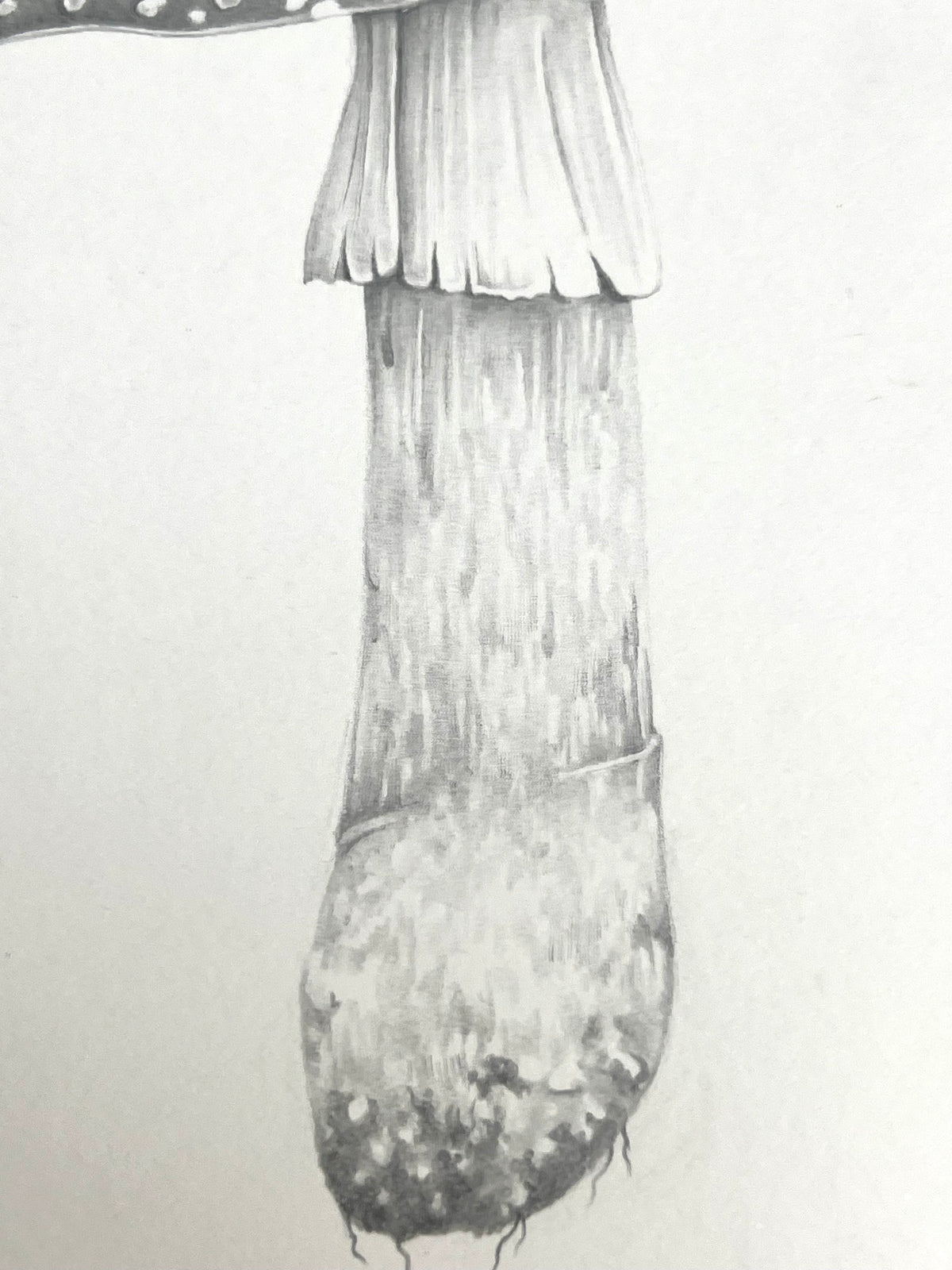 Lauren Fitton original artwork Fly Agaric