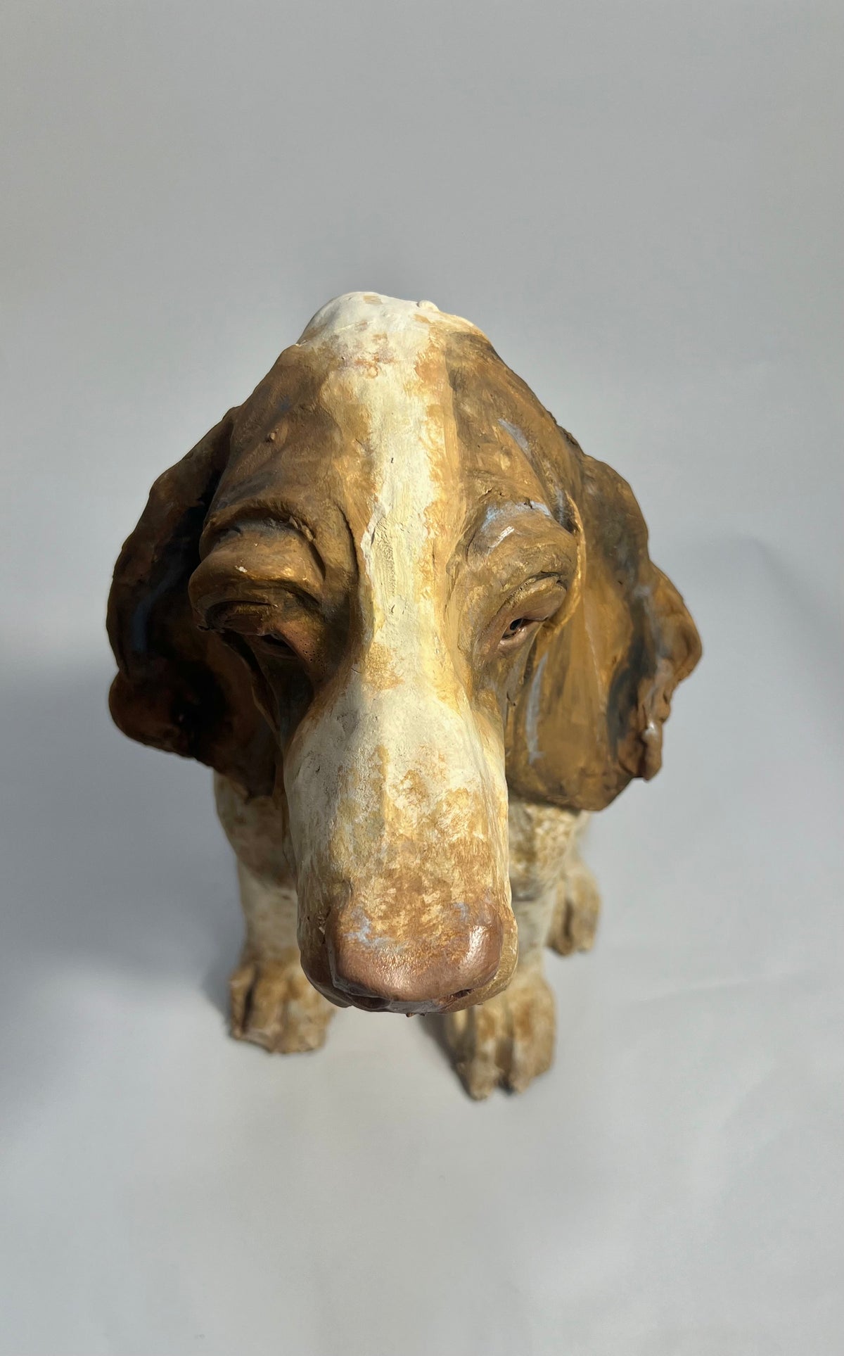Bracco Italiano by Olivia Brown