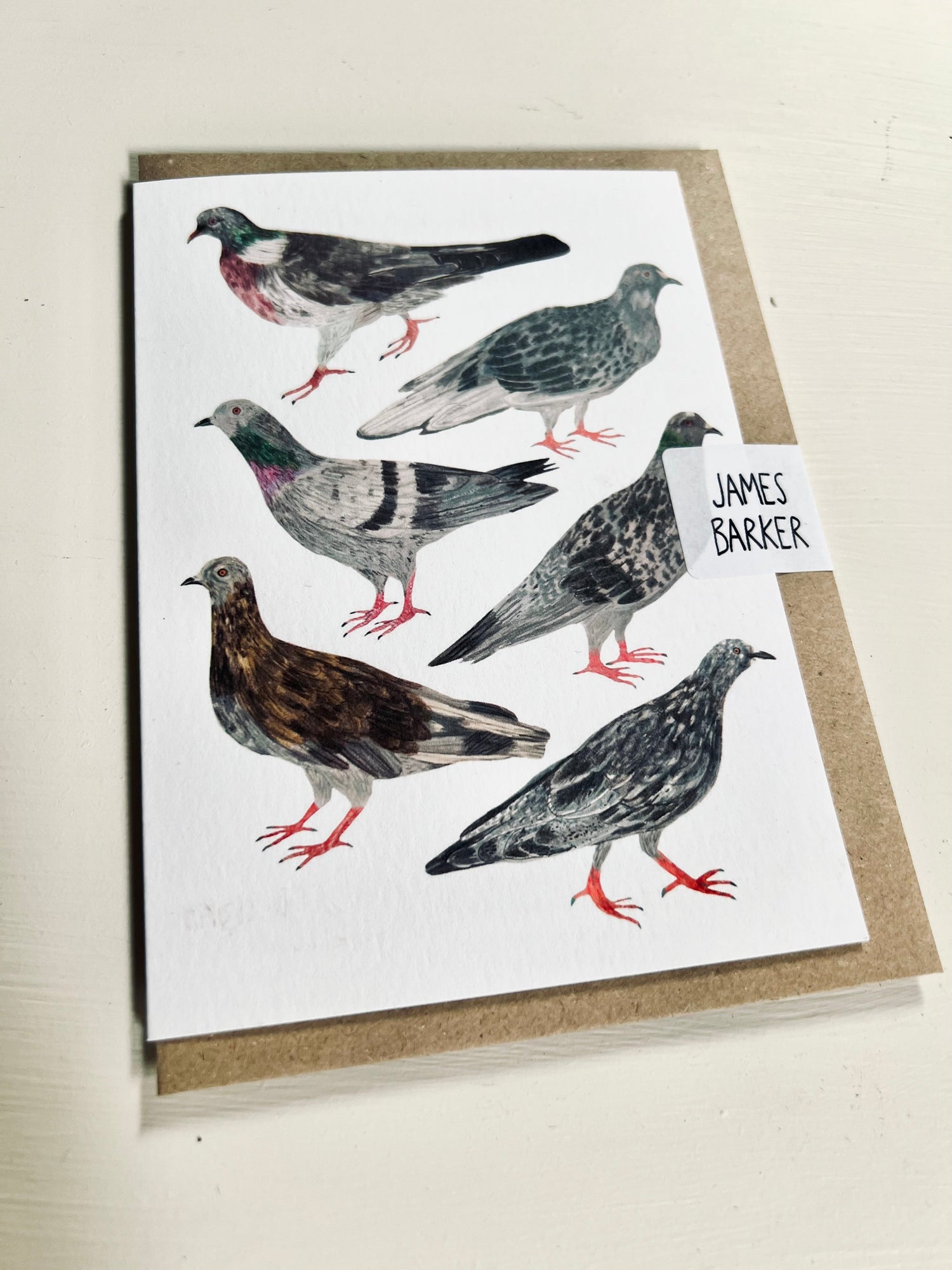 13- Pigeon themed art