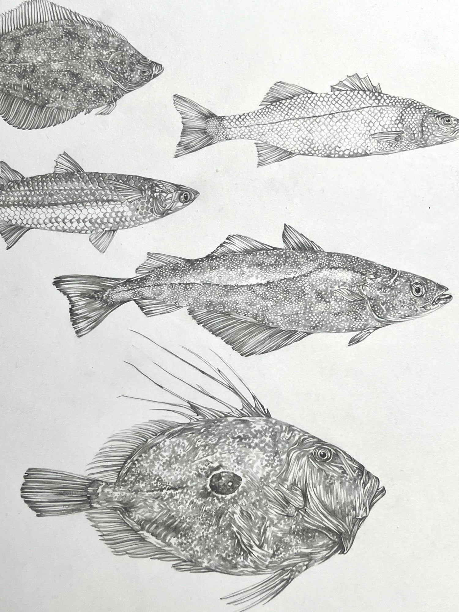 14-Animal themed art