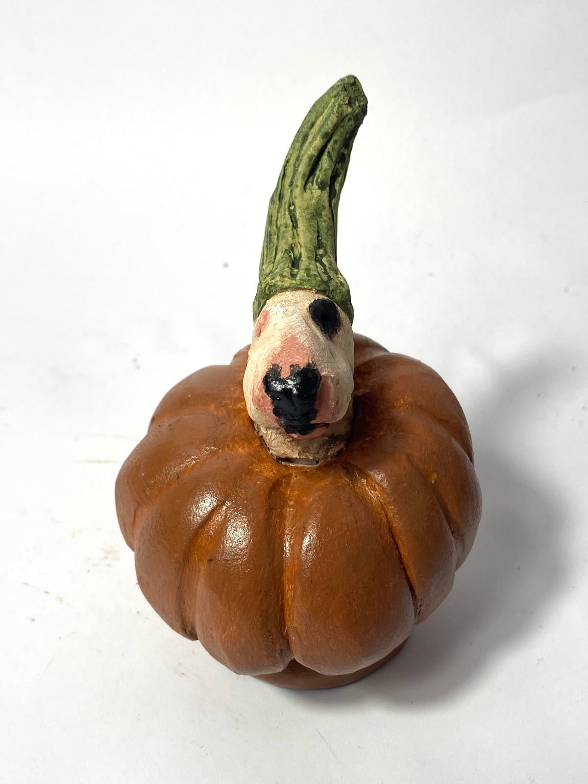 Pumpkin bully by olivia brown buffoonery collection