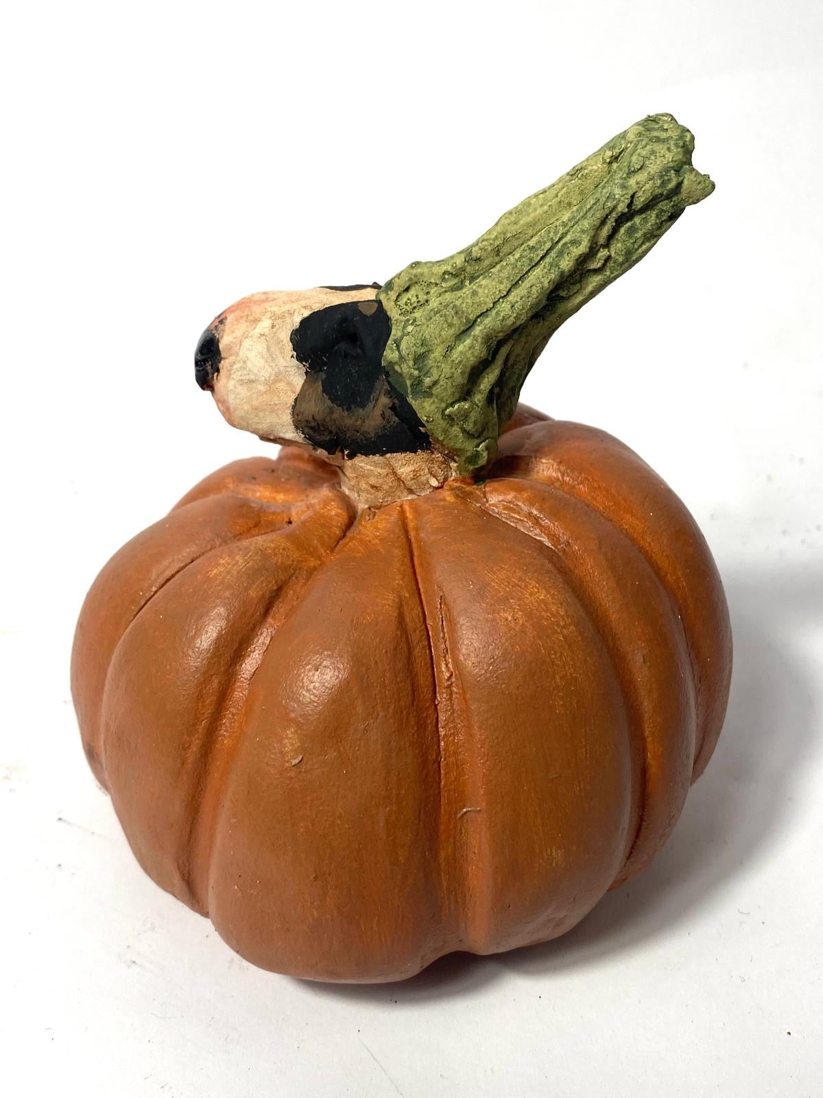 Pumpkin bully by Olivia Brown - buffoonery collection