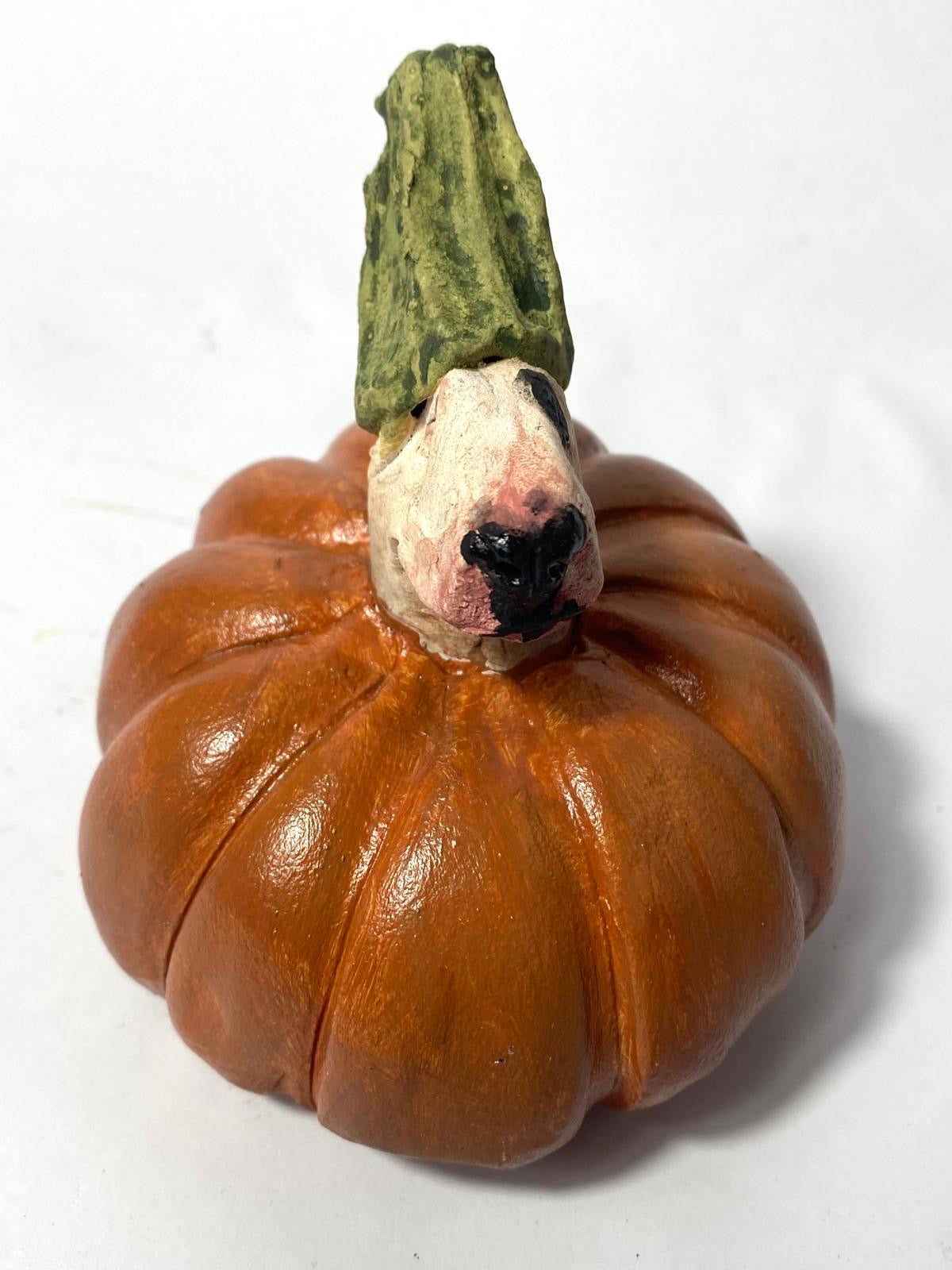 Pumpkin bully by olivia brown buffoonery collection