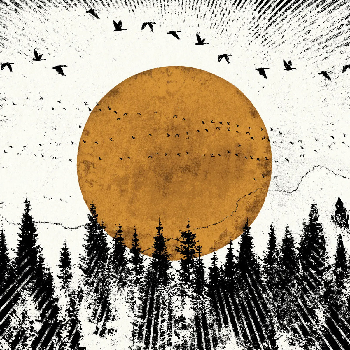 Forest view  greetings  card by Like Holcombe