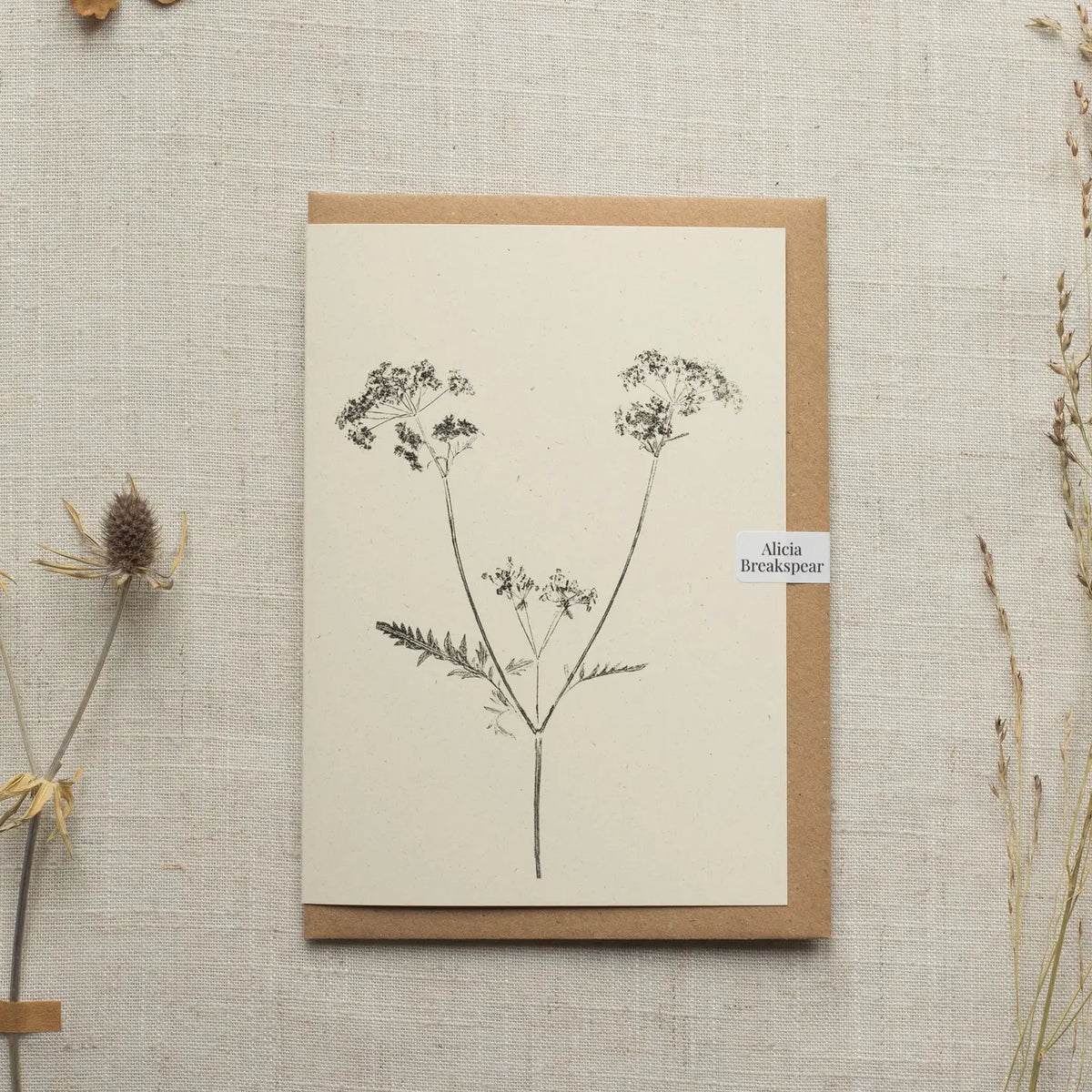 Alicia Breakspear botanical greetings card Cow parsley
