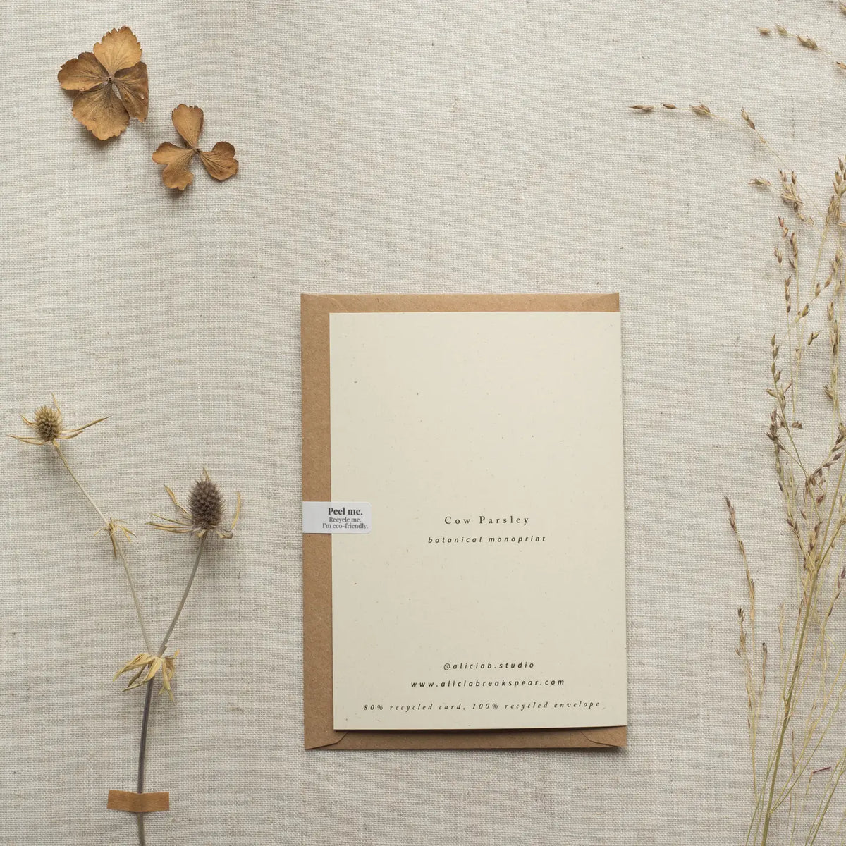 Alicia Breakspear botanical greetings card Cow parsley