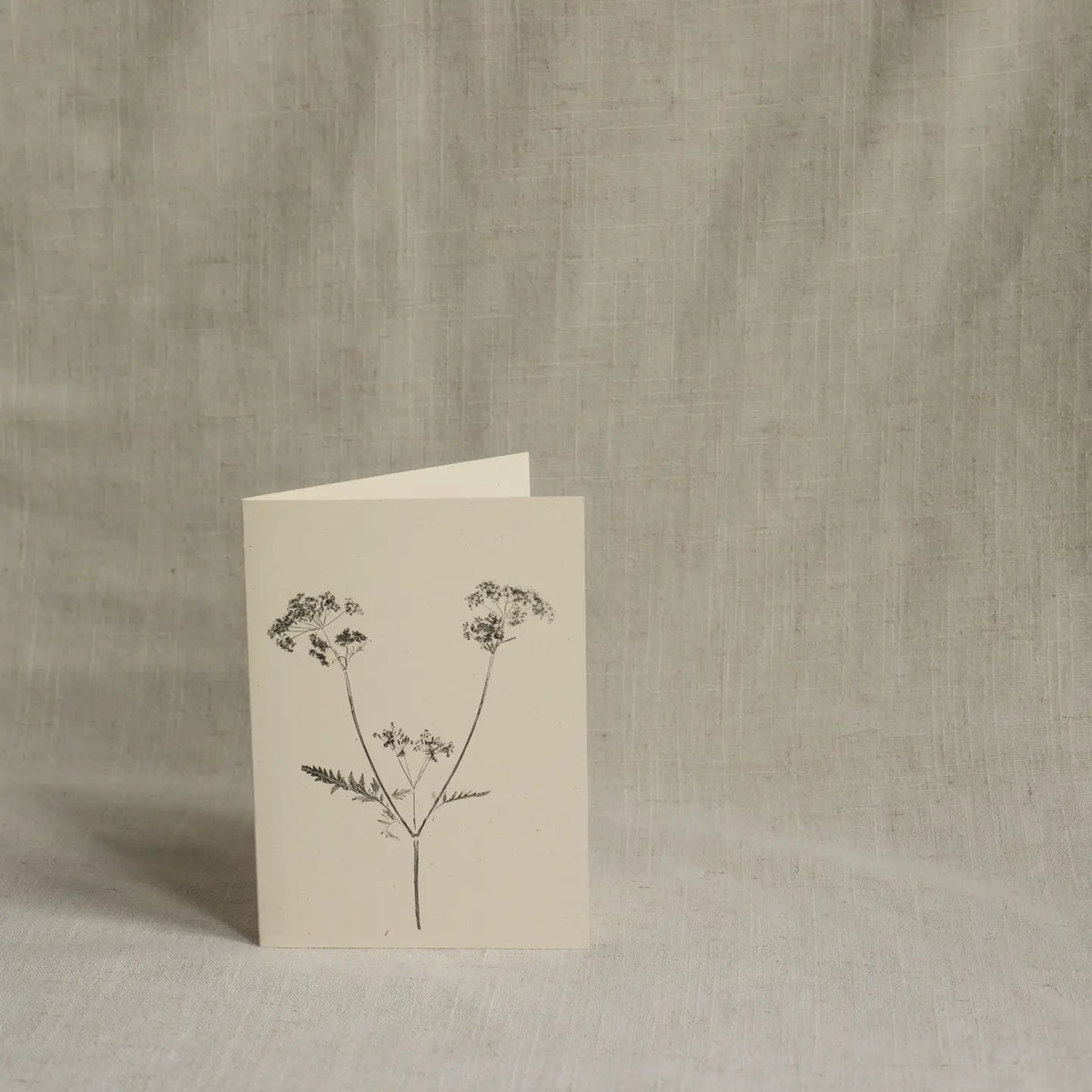 Alicia Breakspear botanical greetings card Cow parsley