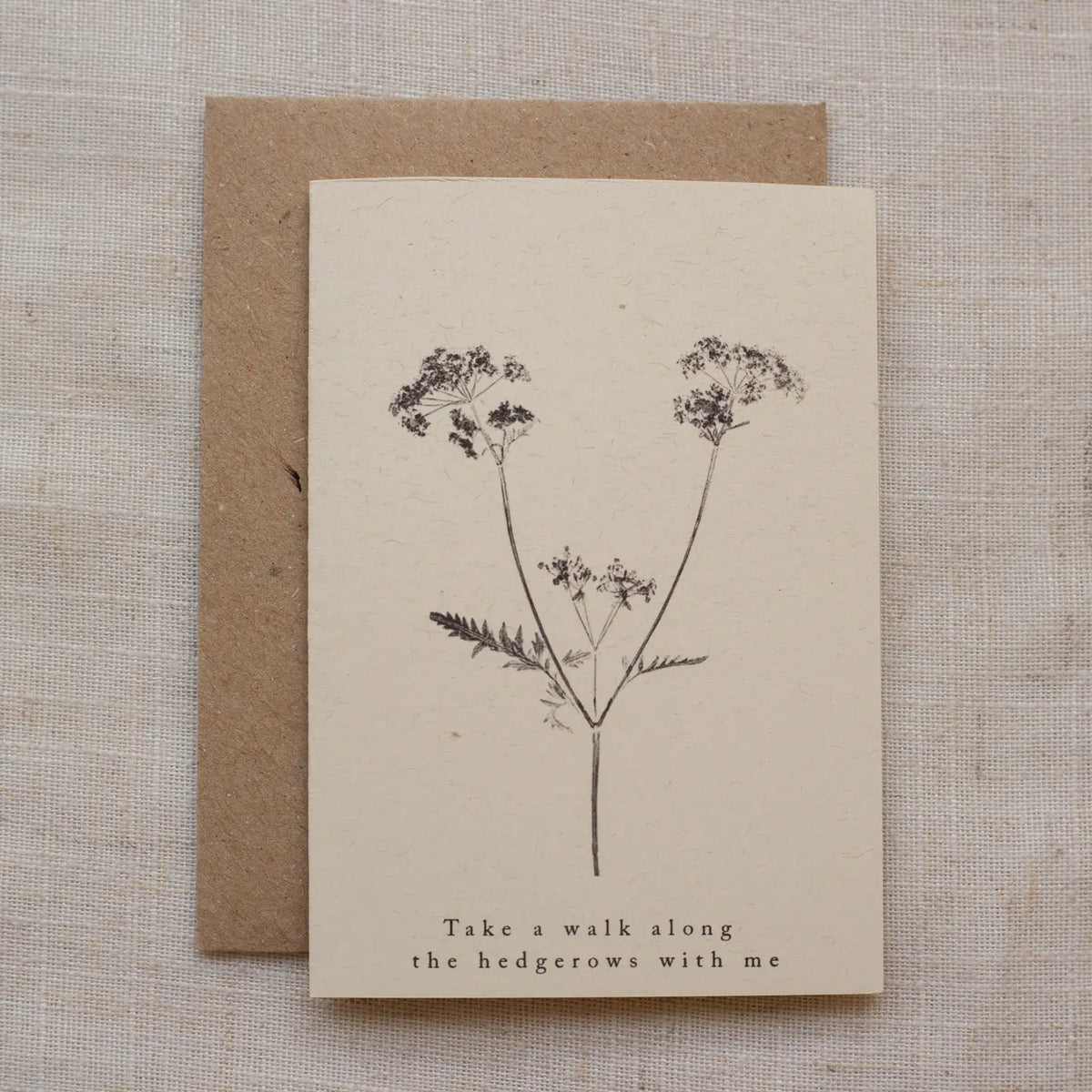 Alicia Breakspear botanical greetings card Cow parsley mini card