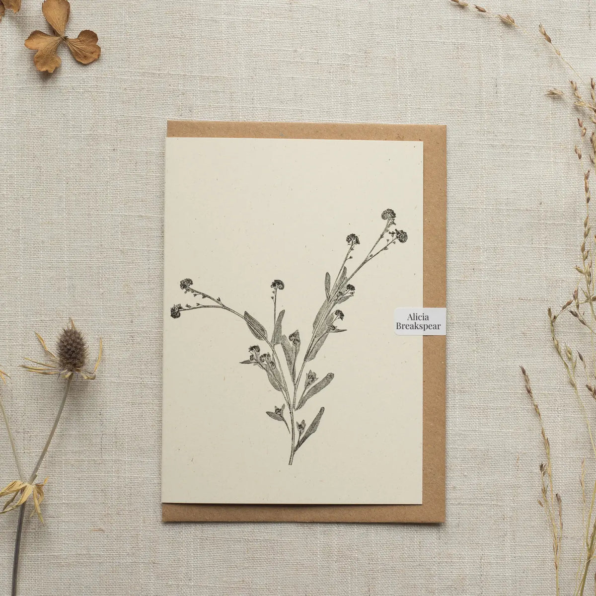 Alicia Breakspear botanical greetings card forget me not