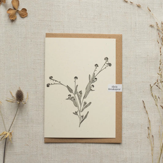 Alicia Breakspear botanical greetings card forget me not