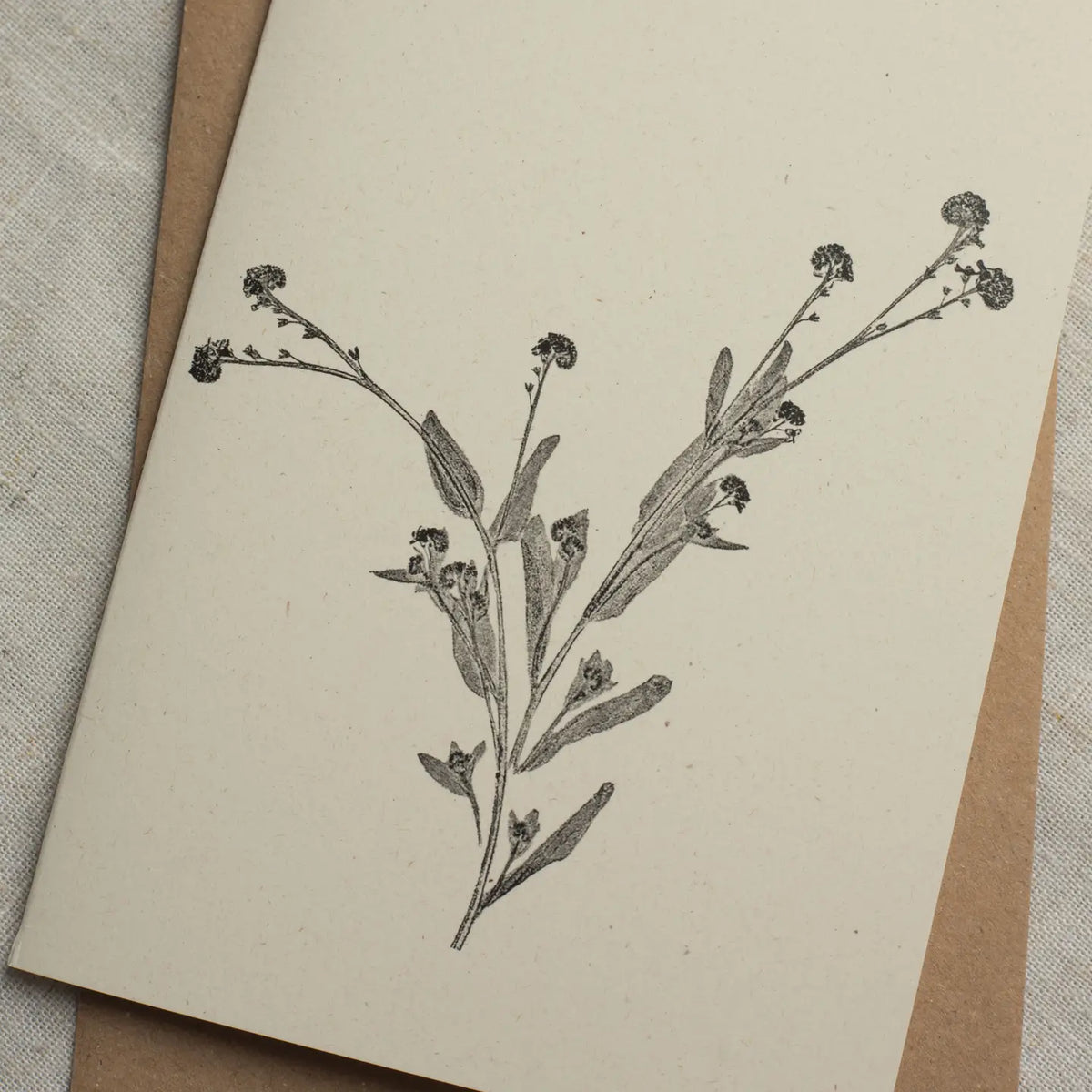Alicia Breakspear botanical greetings card forget me not