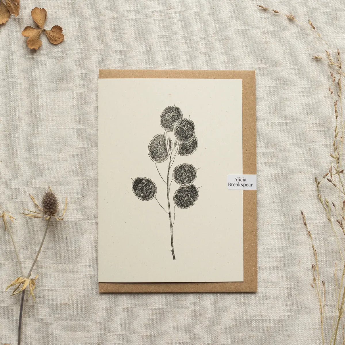 Alicia Breakspear botanical greetings card Honesty pods