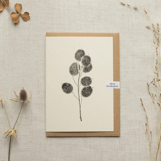 Alicia Breakspear botanical greetings card Honesty pods