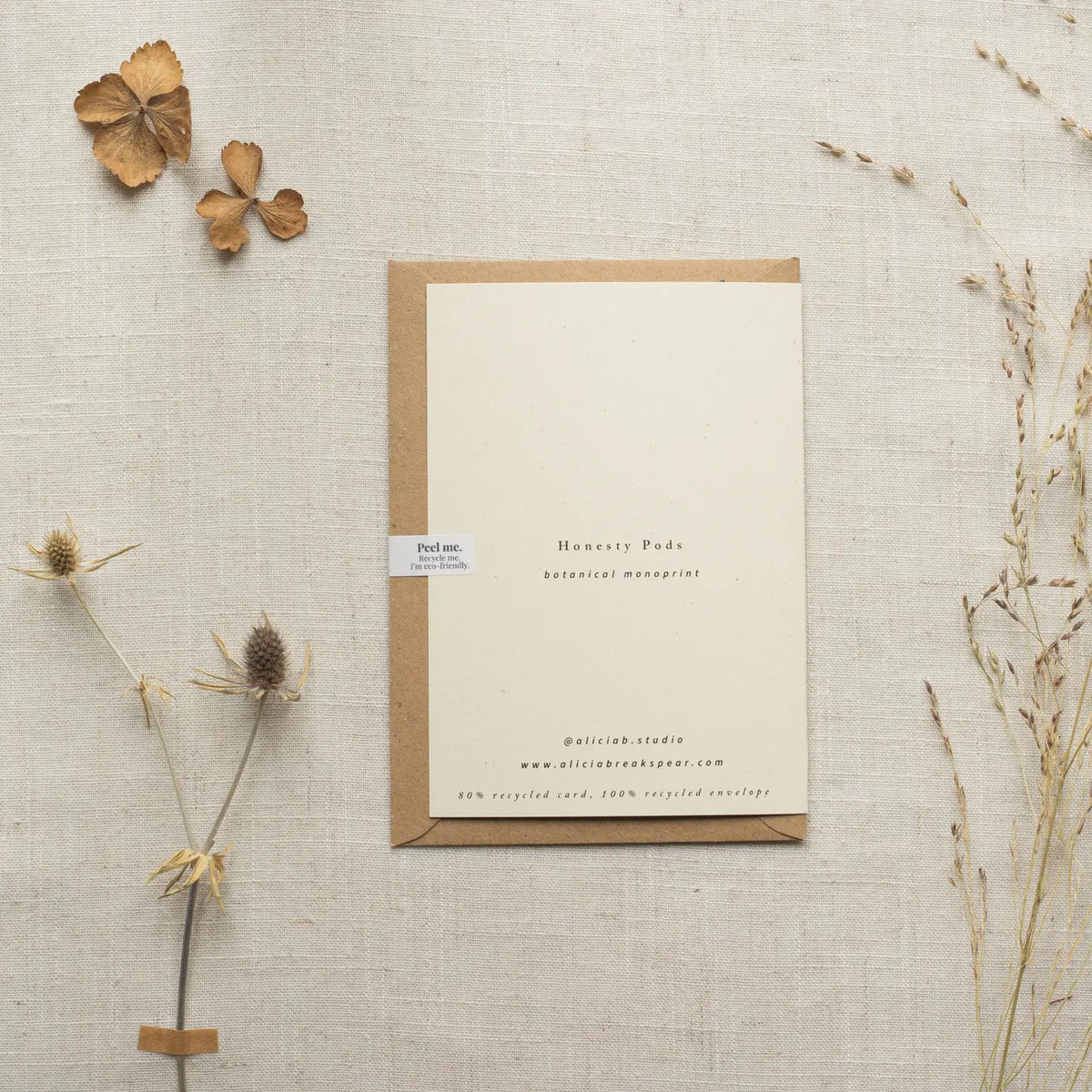Alicia Breakspear botanical greetings card Honesty pods