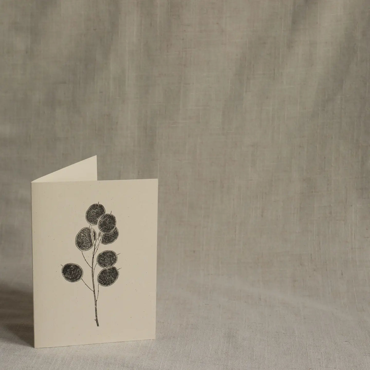 Alicia Breakspear botanical greetings card Honesty pods