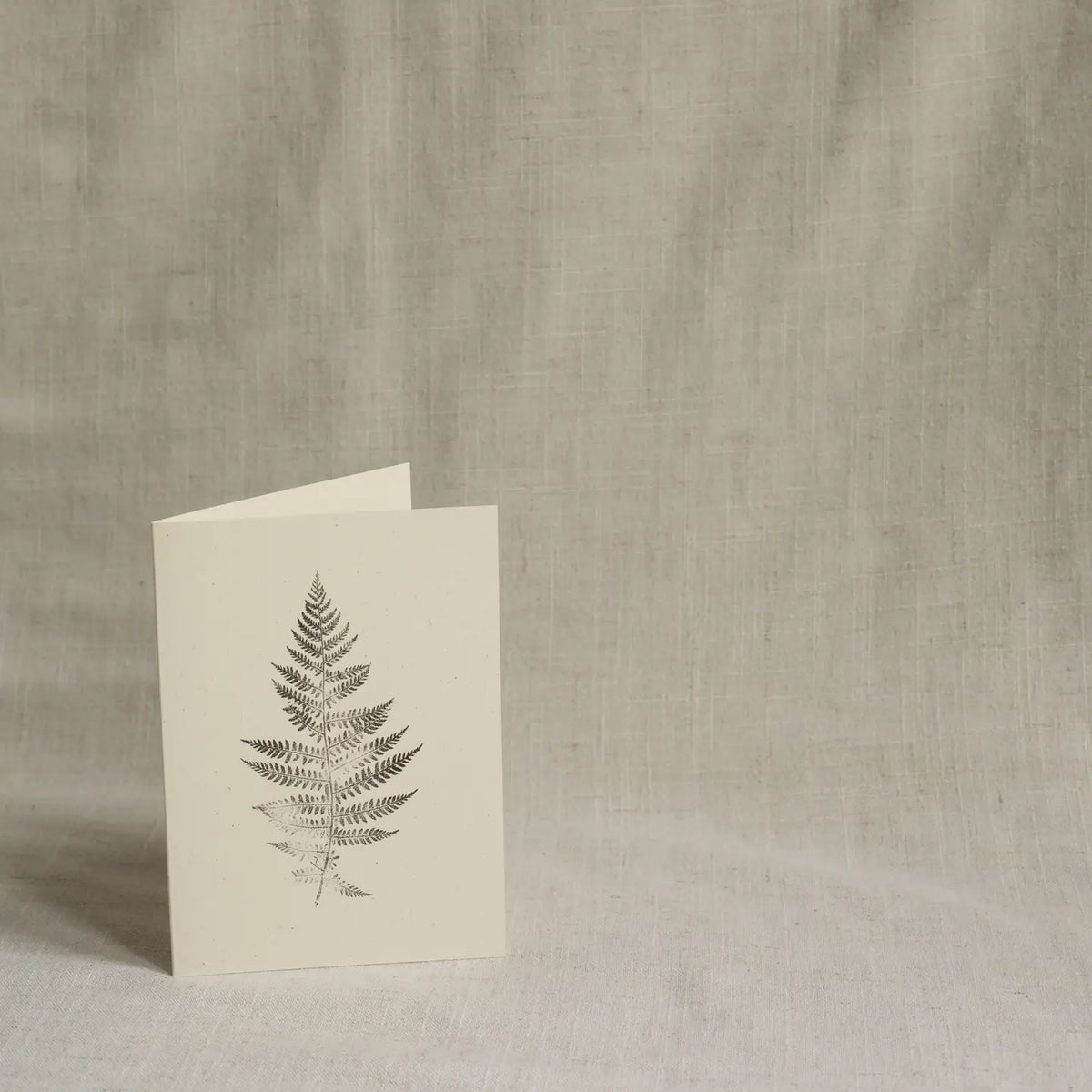 Alicia Breakspear botanical greetings card lady fern