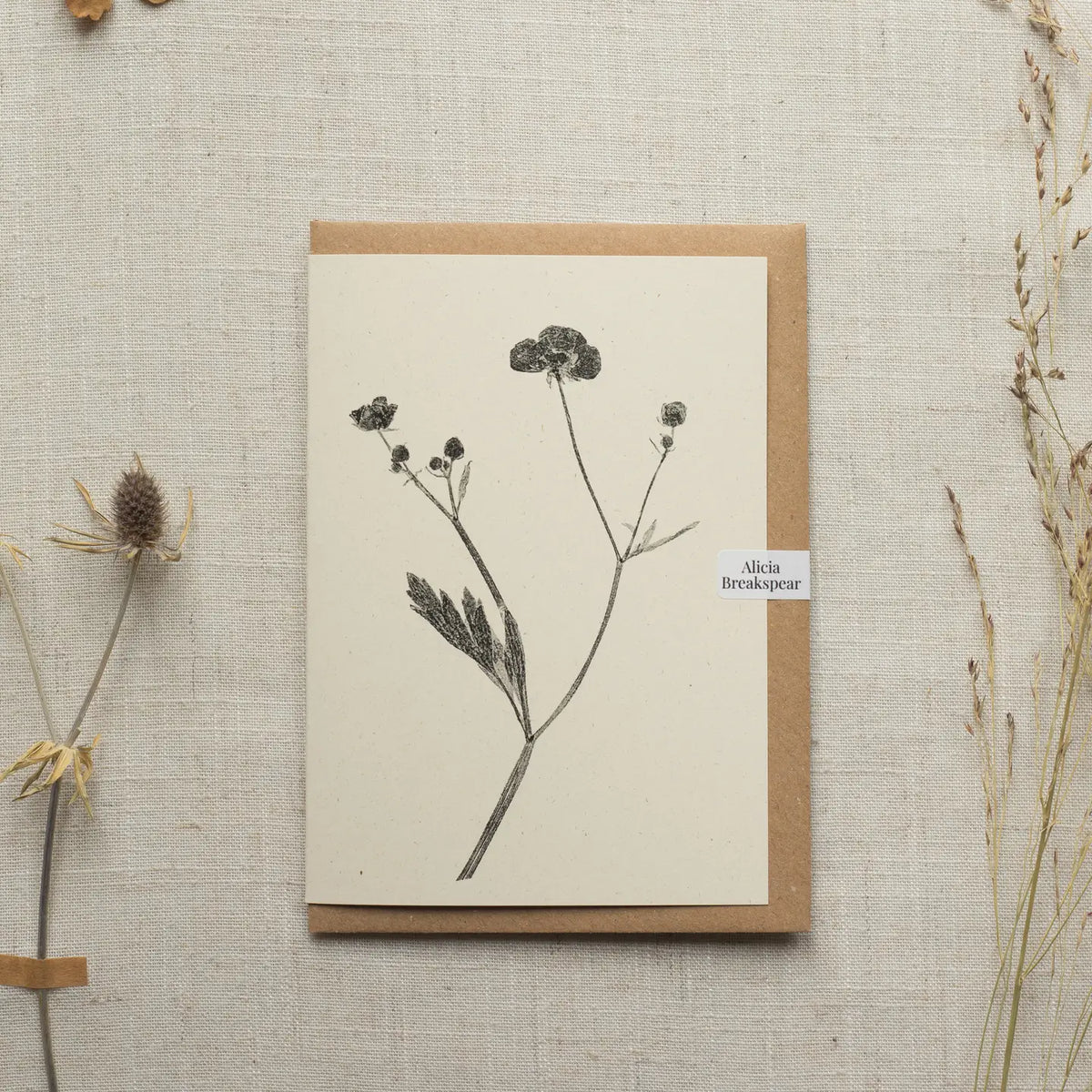 Alicia Breakspear botanical greetings card meadow buttercup