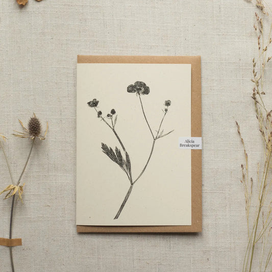 Alicia Breakspear botanical greetings card meadow buttercup