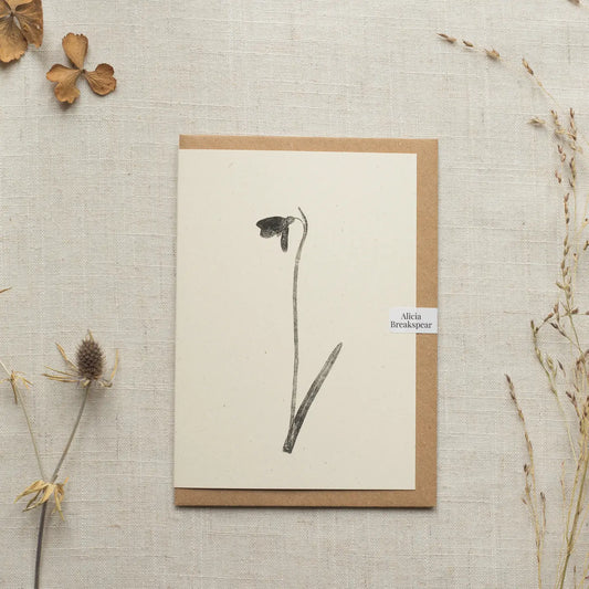Alicia Breakspear botanical greetings card snowdrop