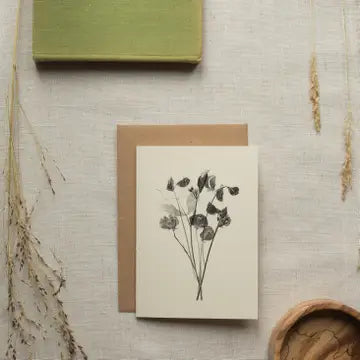 Alicia Breakspear botanical greetings card sweet pea