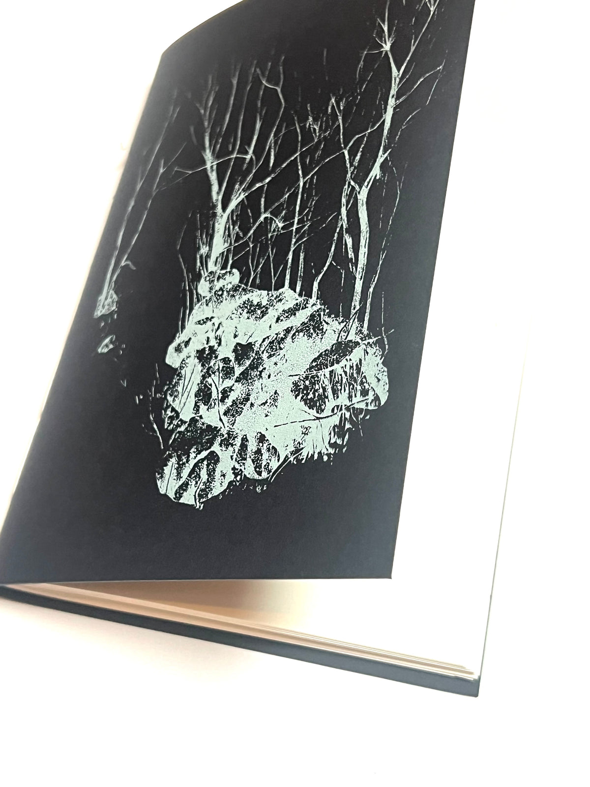 Julia Ogden screen printed notebook