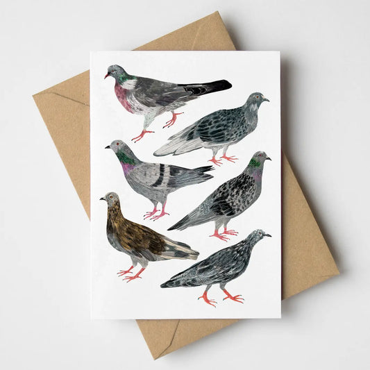 James Barker greetings card pigeon