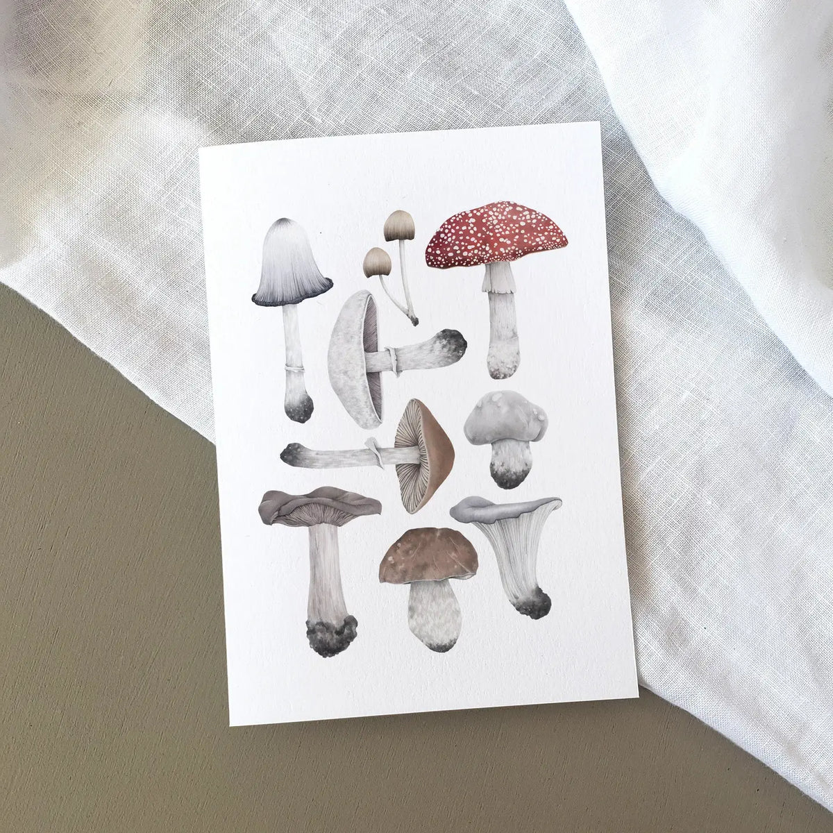 Lauren Fitton greetings card fungi