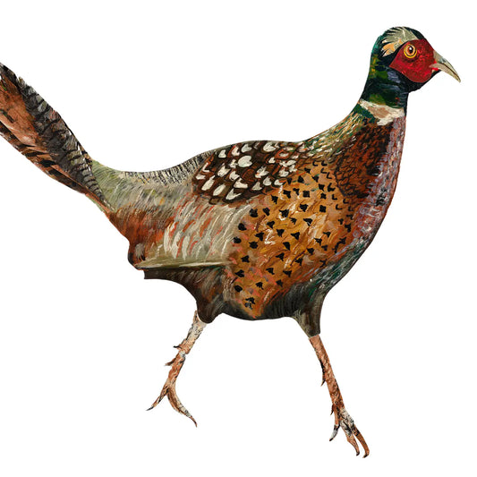 Clare O ‘ Neill pheasant   plywood decoration