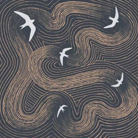 swifts  by Tjitske Kamphuis greetings card