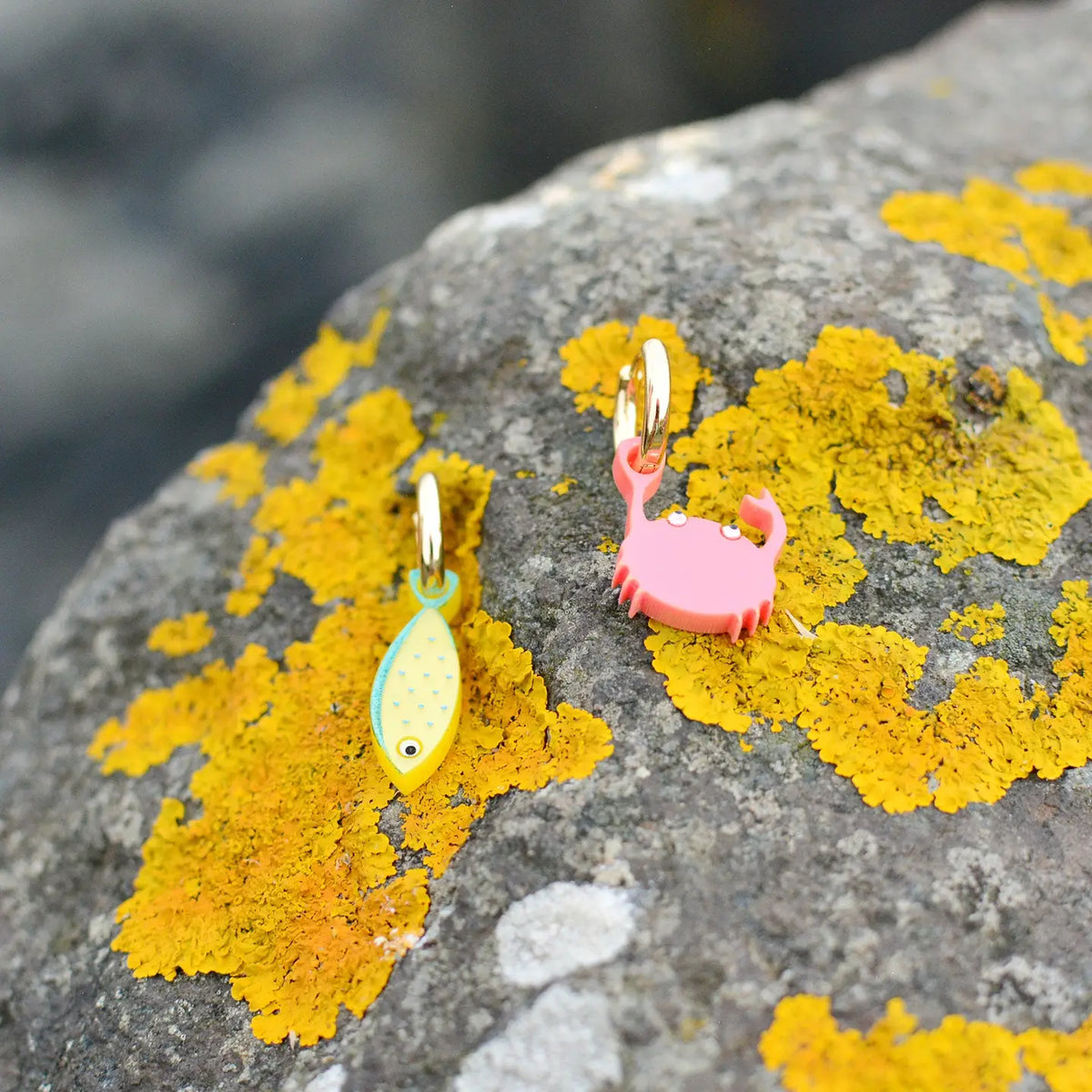 Silly loaf fish and crab hoop earings