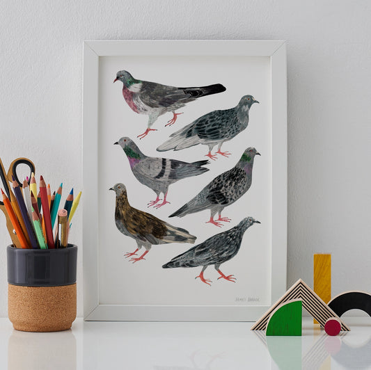 Pigeon A4 print  by James Barker
