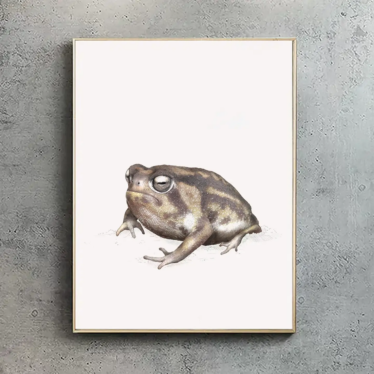 Namagua Frog print by Ben Rothery
