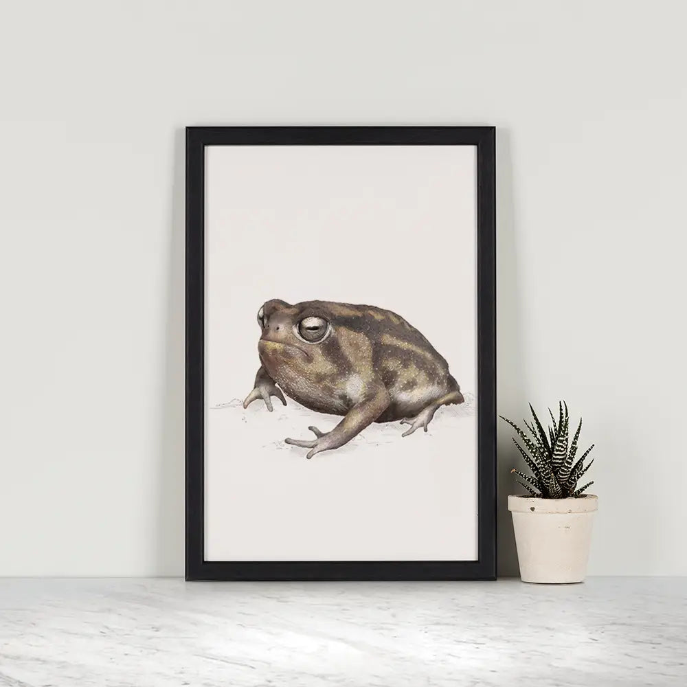 Namagua Frog print by Ben Rothery