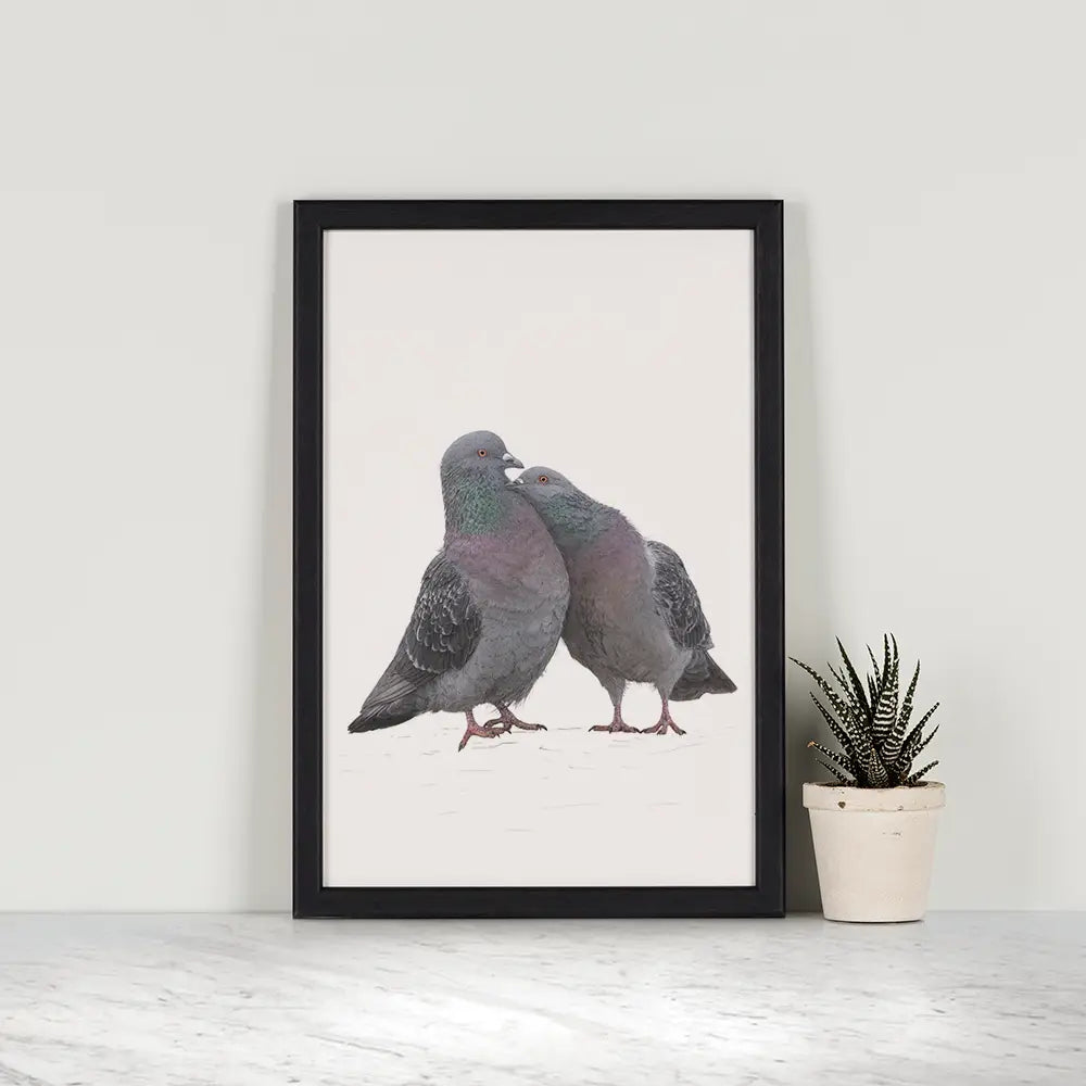 Love birds pigeon print by Ben Rothery