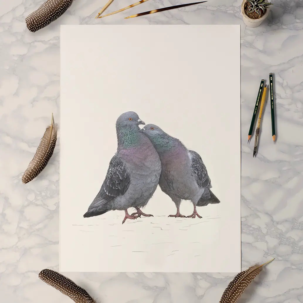 Love birds pigeon print by Ben Rothery