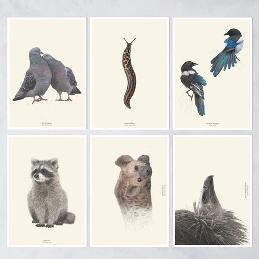 Unloved animals postcard set  by Ben Rothery