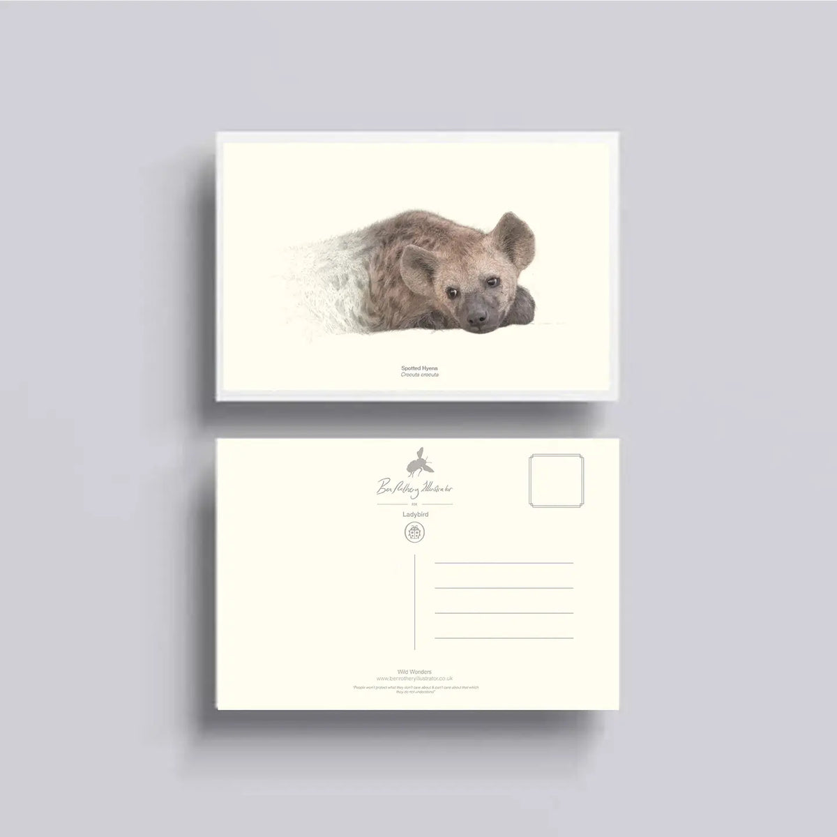 Unloved animals postcard set  by Ben Rothery