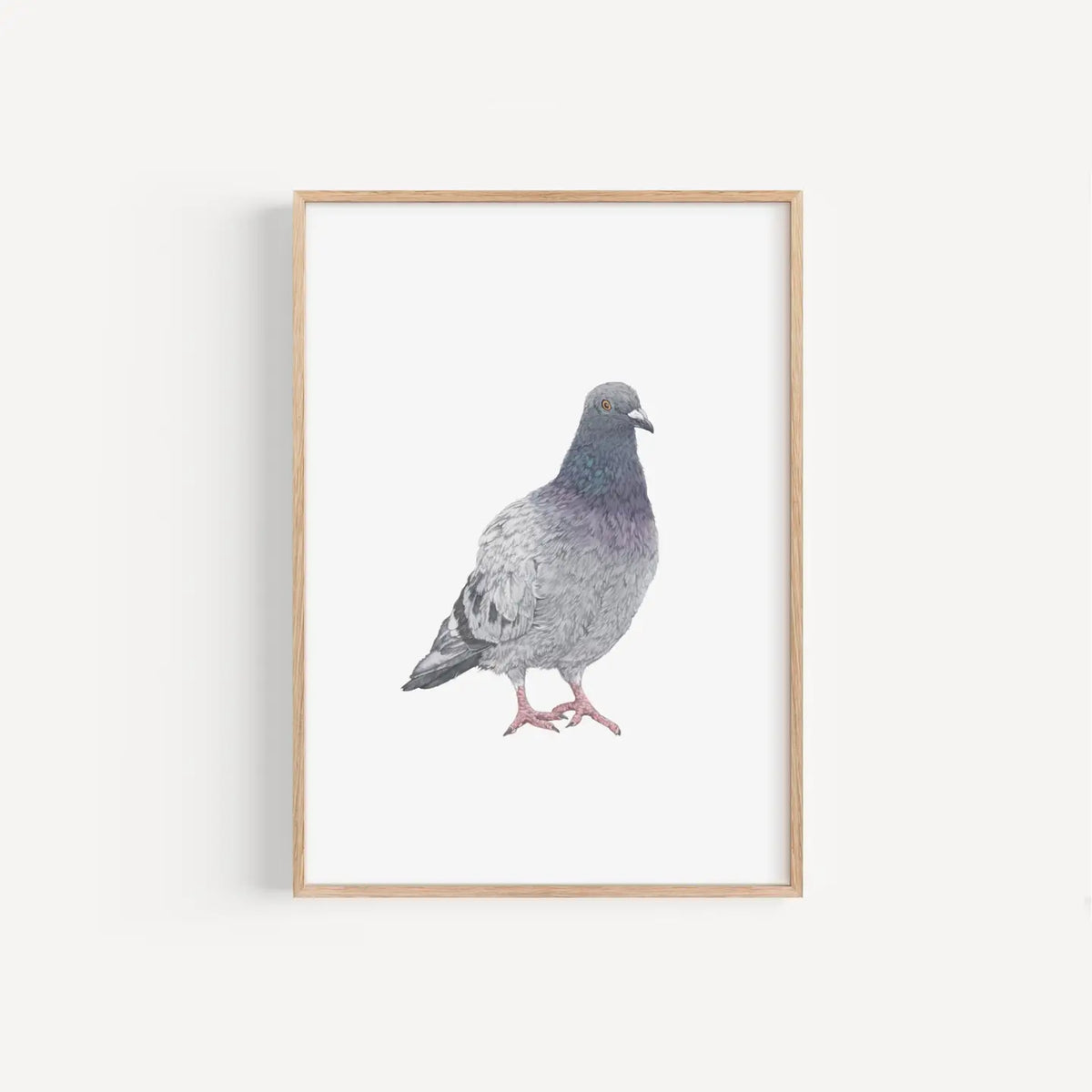 Lauren Fitton pigeon print