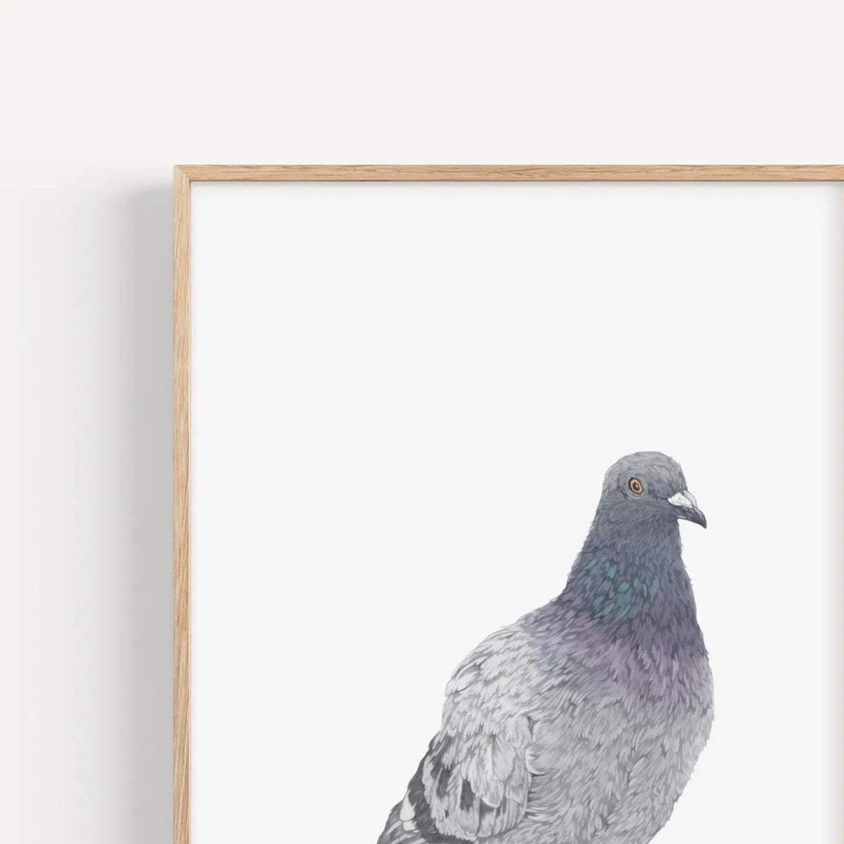 Lauren Fitton pigeon print