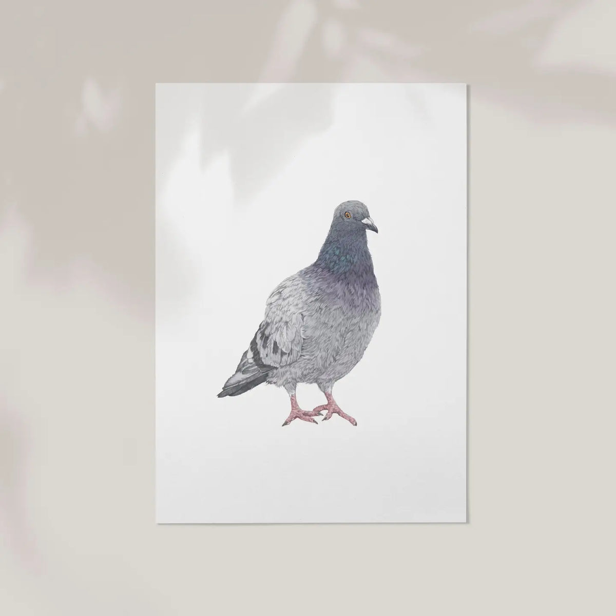 Lauren Fitton pigeon print