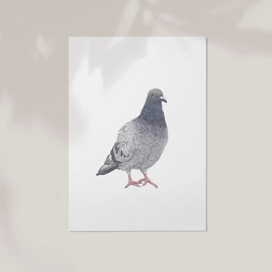 Lauren Fitton pigeon print