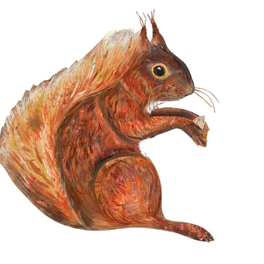 Clare O ‘ Neill squirrel    plywood decoration