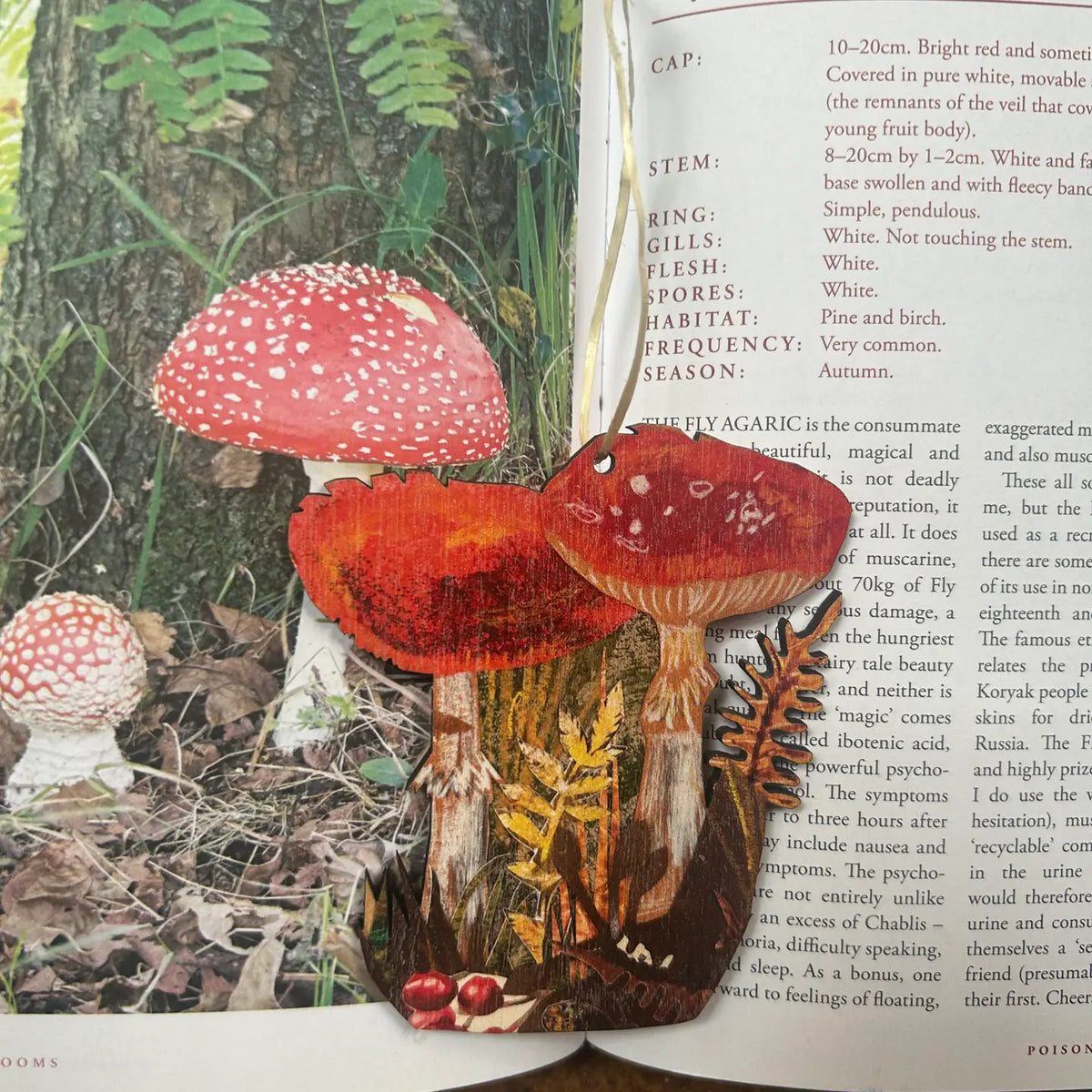 Clare O ‘ Neill toadstool  plywood decoration